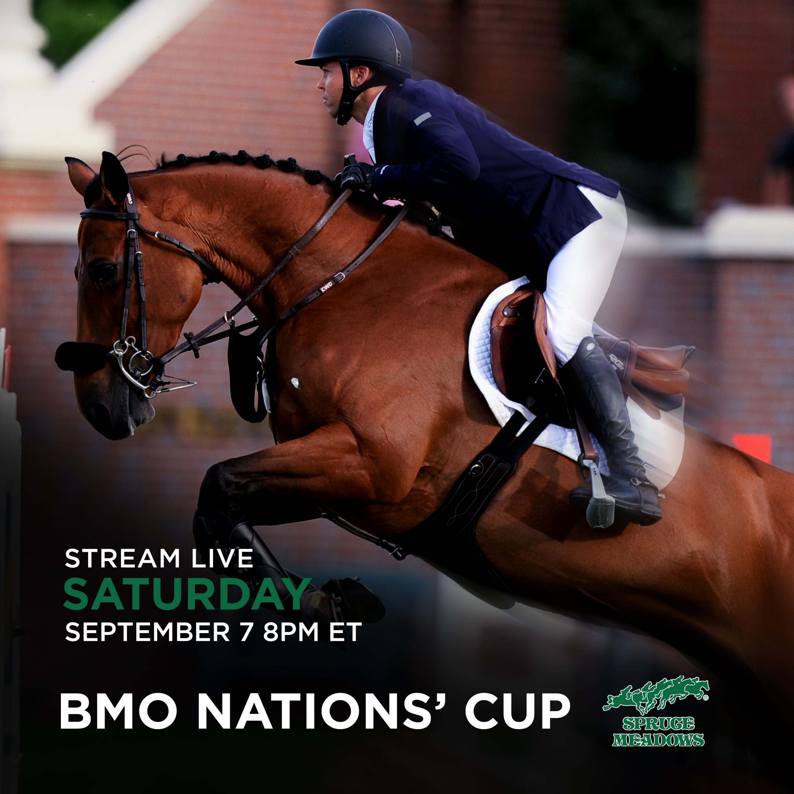 bmo nations cup